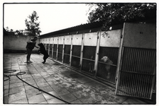 402454 Afbeelding van een hondenkennel van het Stichts Asyl voor Dieren (Oude Houtensepad 46) te Utrecht.